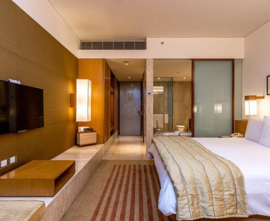 Hotel Plaza International Near Delhi Airport Nové Dillí Exteriér fotografie